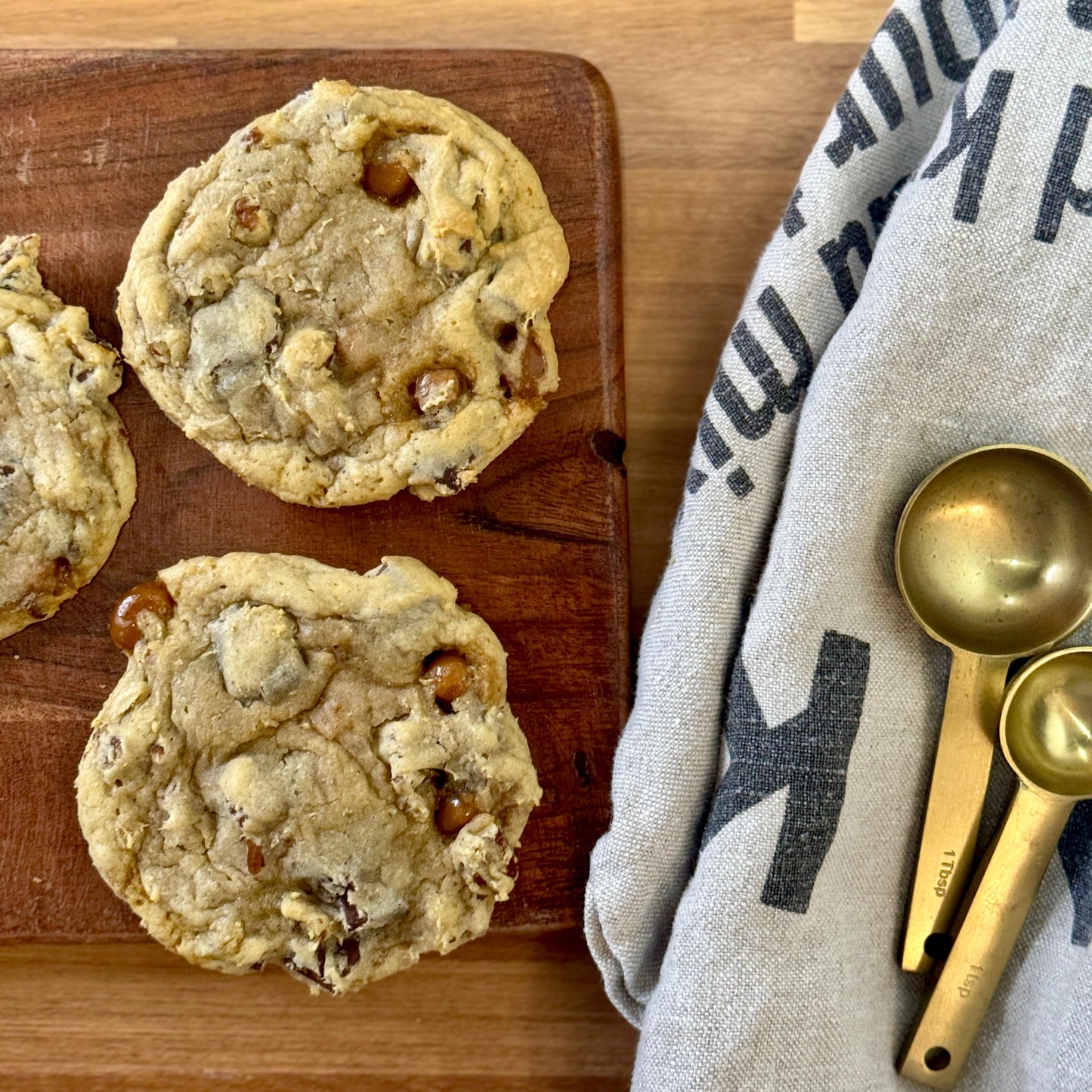 Turtle - Premier Collection