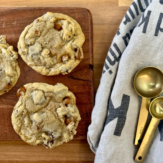 Turtle - Premier Collection