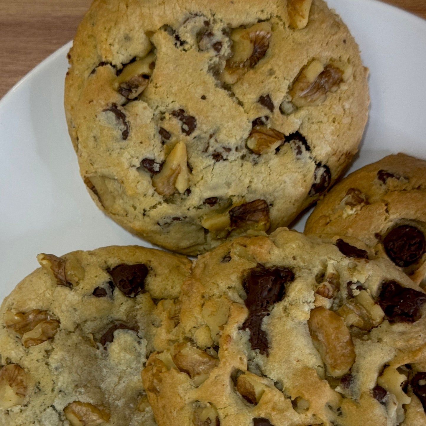 Chocolate Chip w/Walnuts - Signature Plus