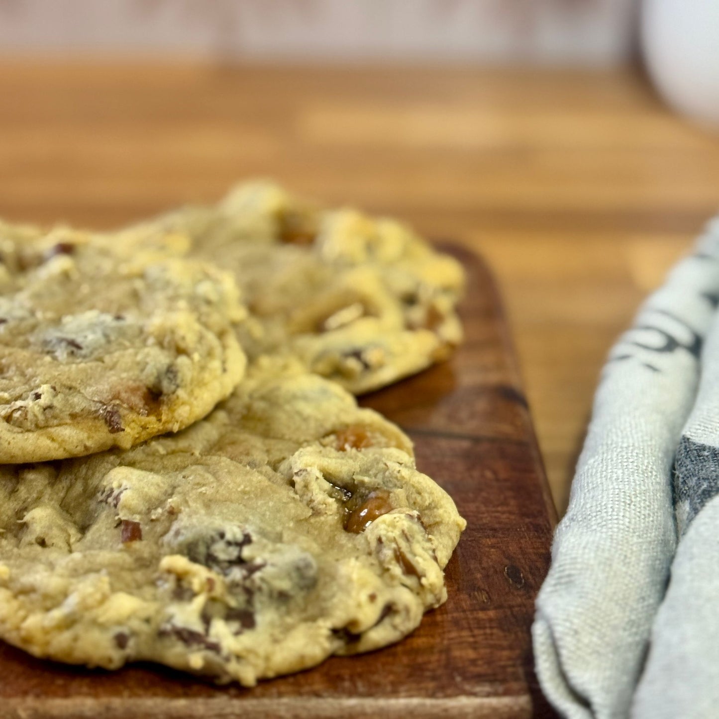 Turtle - Premier Collection