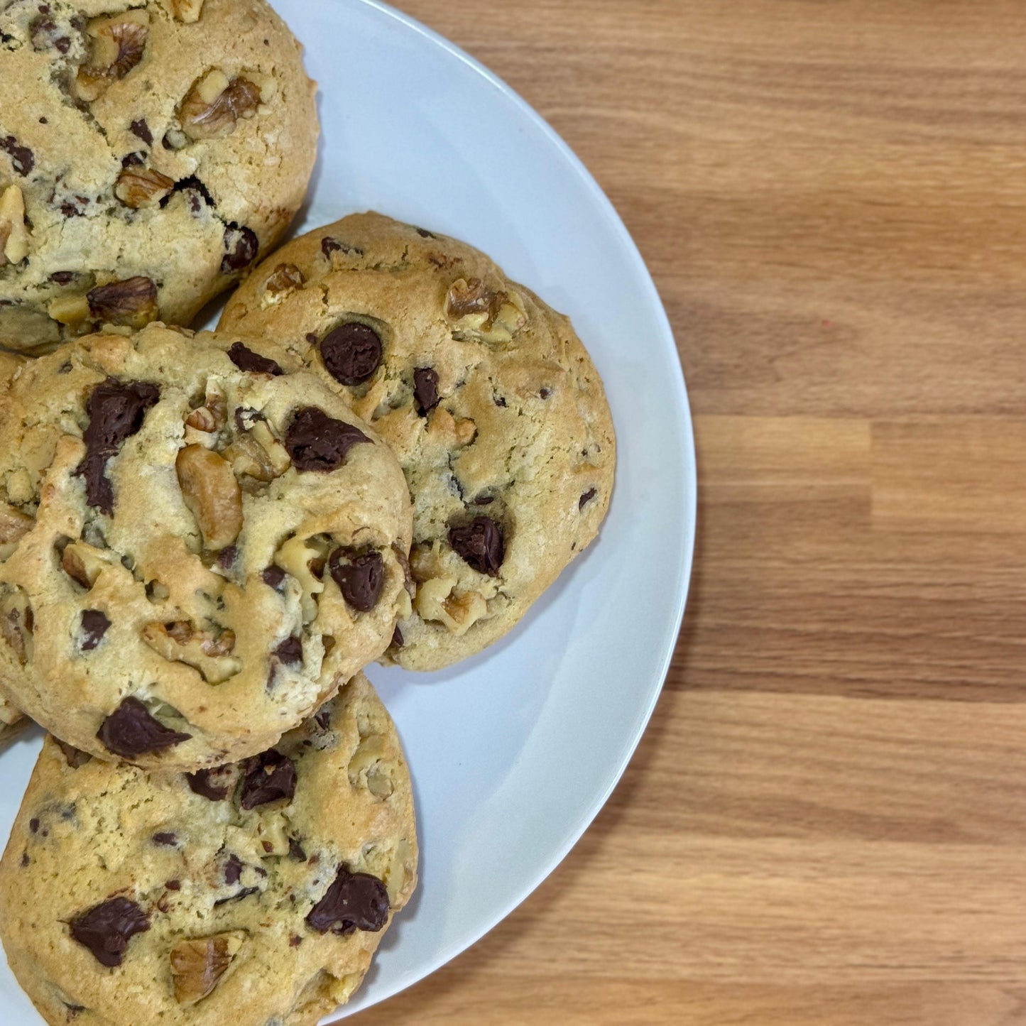 Chocolate Chip w/Walnuts - Signature Plus