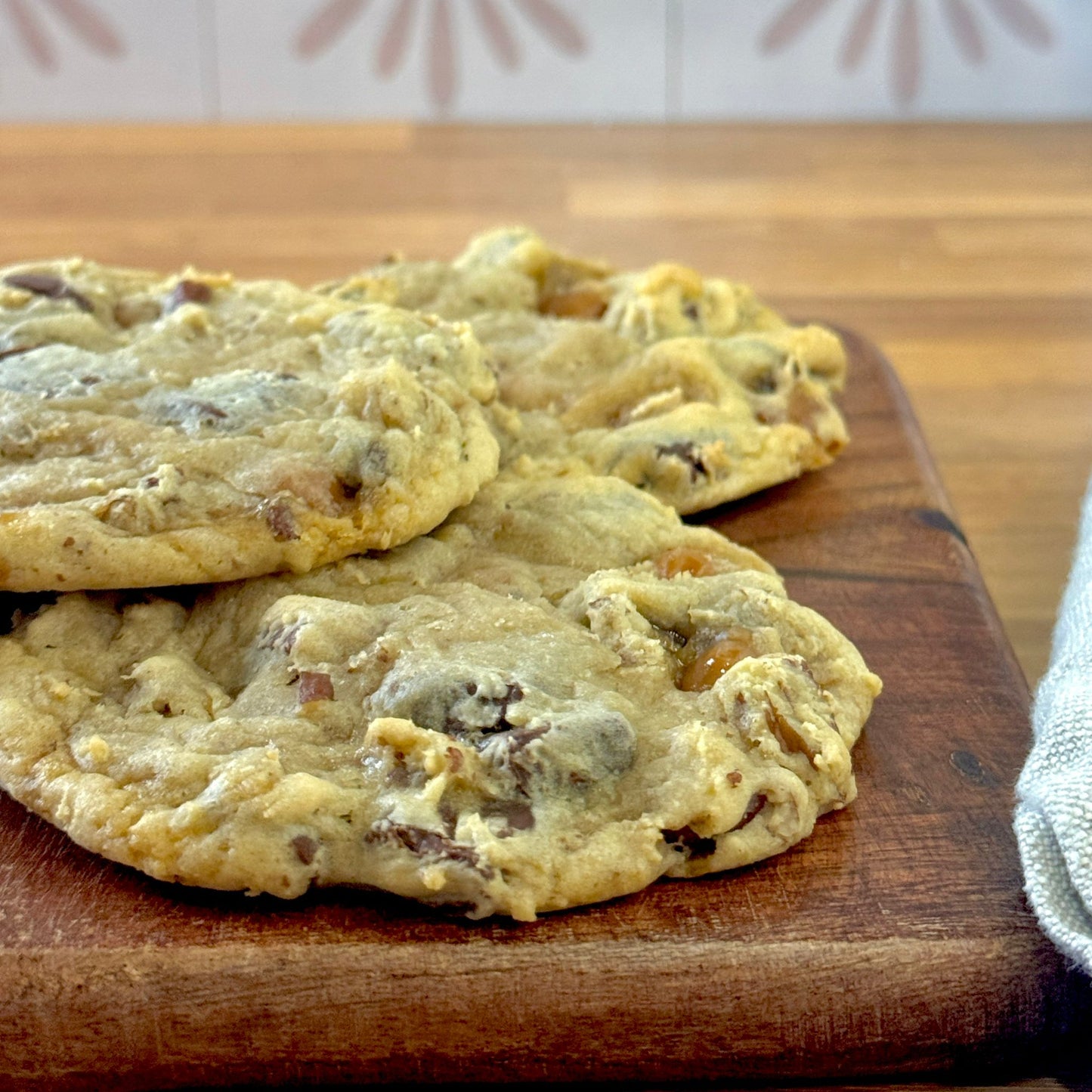 Turtle - Premier Collection